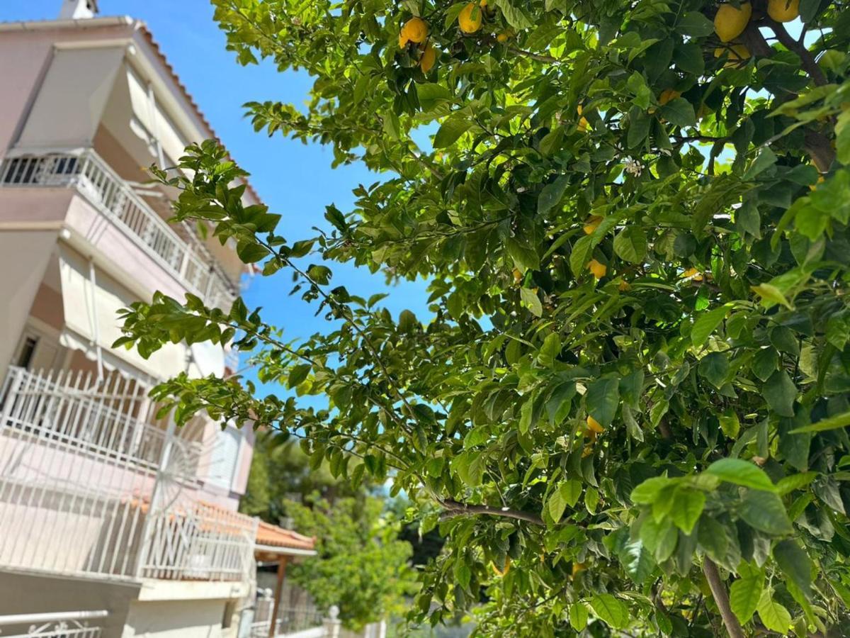 La Vita Apartments-Near Airport & Sea Artemida  Exterior photo